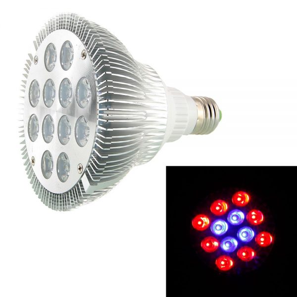 E27 LED Grow Light 36w Red+Blue