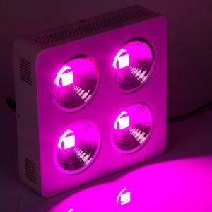 cobra 800c LED grow lights