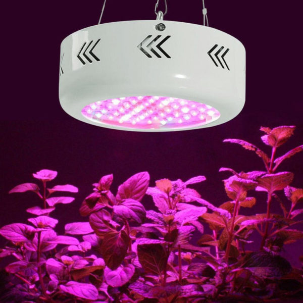 lufo 216d LED grow lights