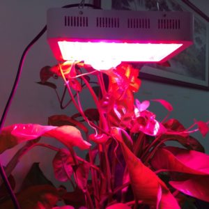 ufo 300 g2 LED grow lights