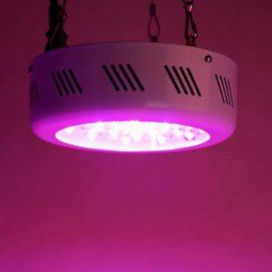 ufo 138b LED grow lights