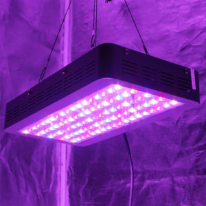vipar 450b LED grow lights