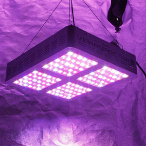 vipar 600b LED grow lights