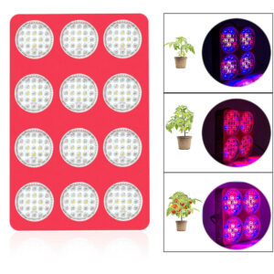 The Apollo 16 LED Grow Light