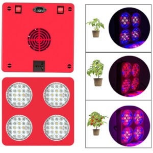 The Apollo 4 LED Grow Light