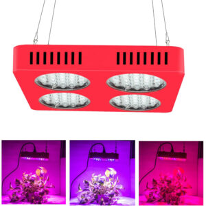 The Apollo 4 LED Grow Light