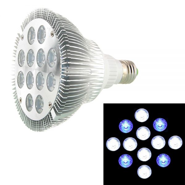 E27 LED Grow Light 36w White+Blue