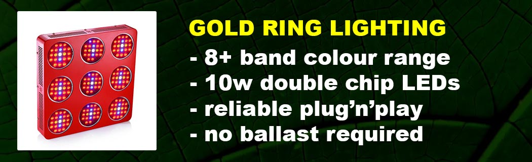Slide Gold Ring Full Spectrum