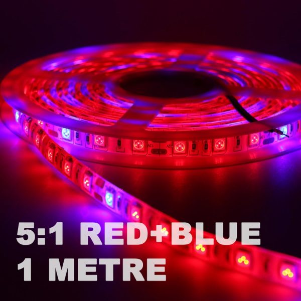 LED Strip Grow Light 5:1 1m