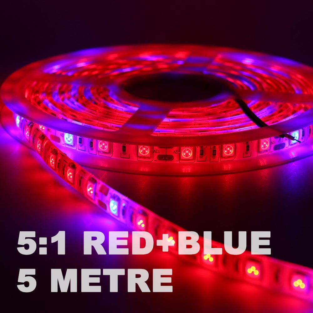 5 metre outlet led strip